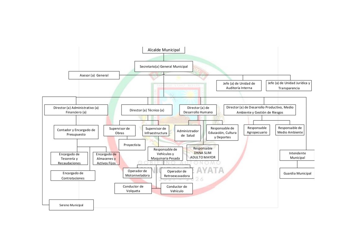 Organigrama Ayata